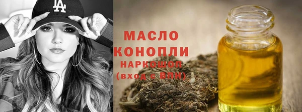 дмт Абаза