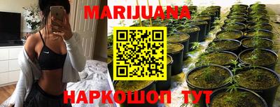 гидра Краснознаменск
