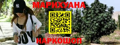 гидра Краснознаменск