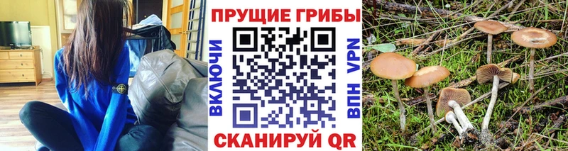 купить наркотик  Карпинск  Галлюциногенные грибы MAGIC MUSHROOMS 