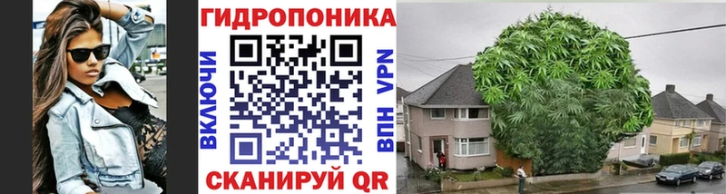 Каннабис конопля Карпинск